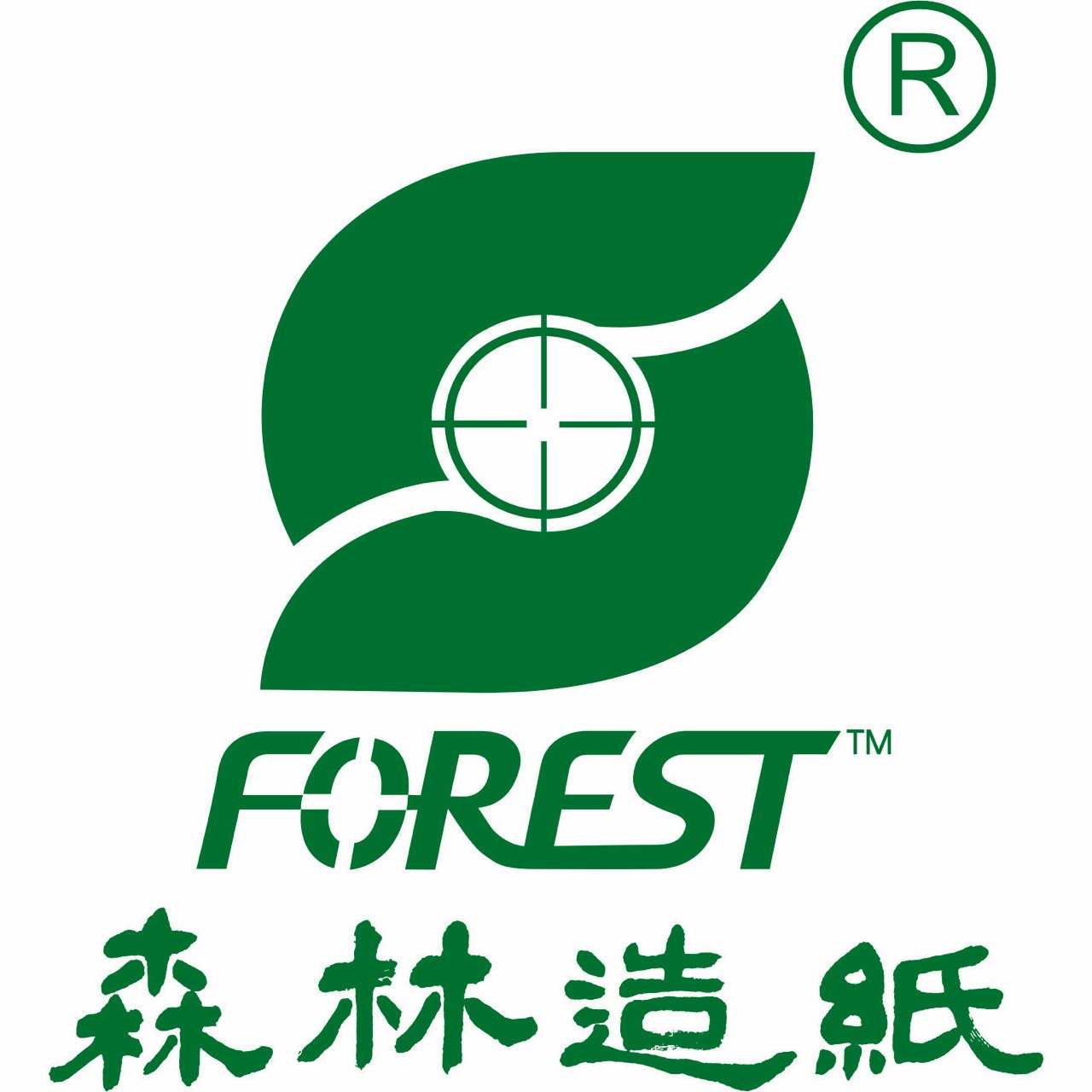 造纸-森林造纸